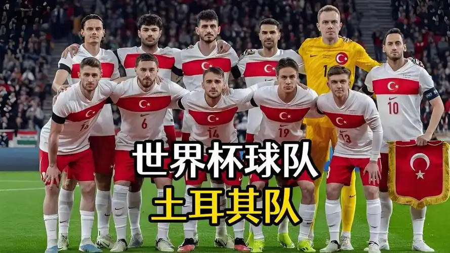 世界杯D组四强争霸悬念迭起，土耳其新黄金一代闪耀足坛